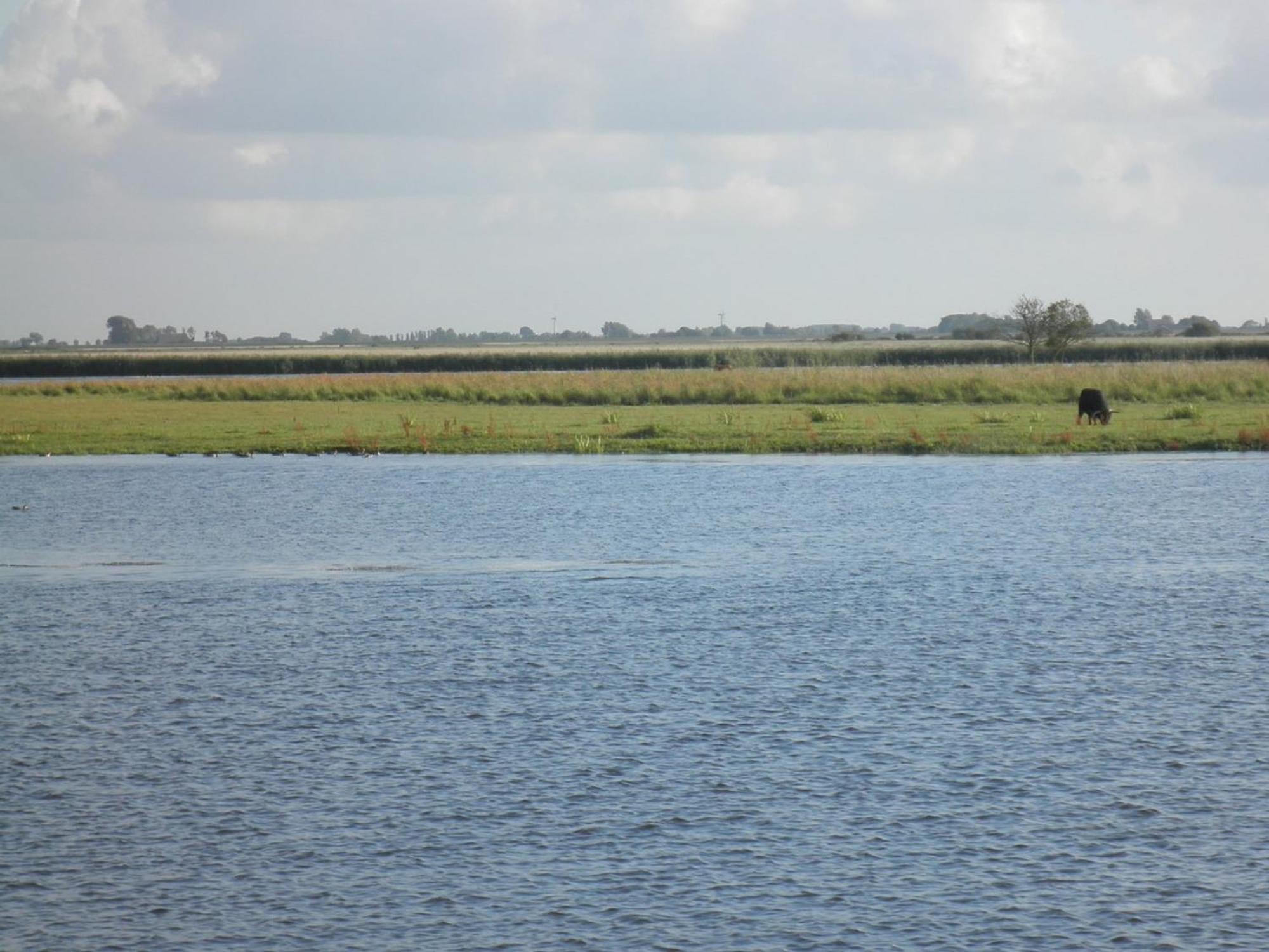 Leonie 6 Pers Holiday Home With A Large Garden Close To The Lauwersmeer Anjum エクステリア 写真